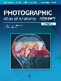 Isbn# is : 1159558345